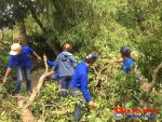 Tuổi trẻ Cẩm Xuyên tiếp tục đẩy mạnh các hoạt động tình nguyện giúp đỡ nhân dân khắc phục hậu quả lũ lụt và phòng chống cơn bão số 7.